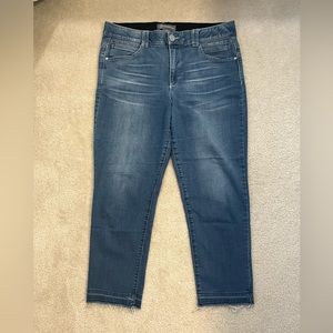 Democracy Ab Technology High Rise Crop Raw Edge jeans (size 16)